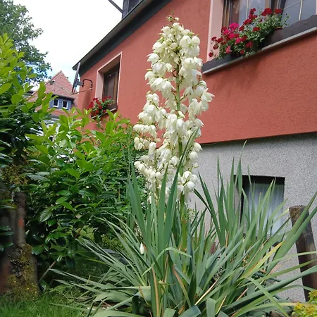 Haus An Der Echobank Rathen